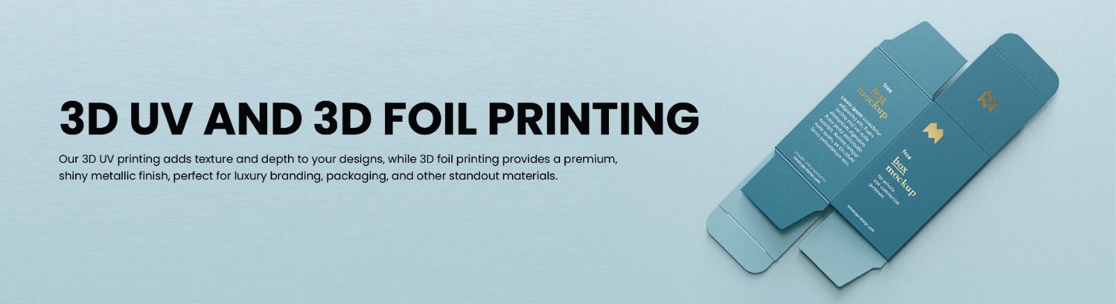 WhatsApp Image 2025-03-26 at 2.37.42 PM (2)